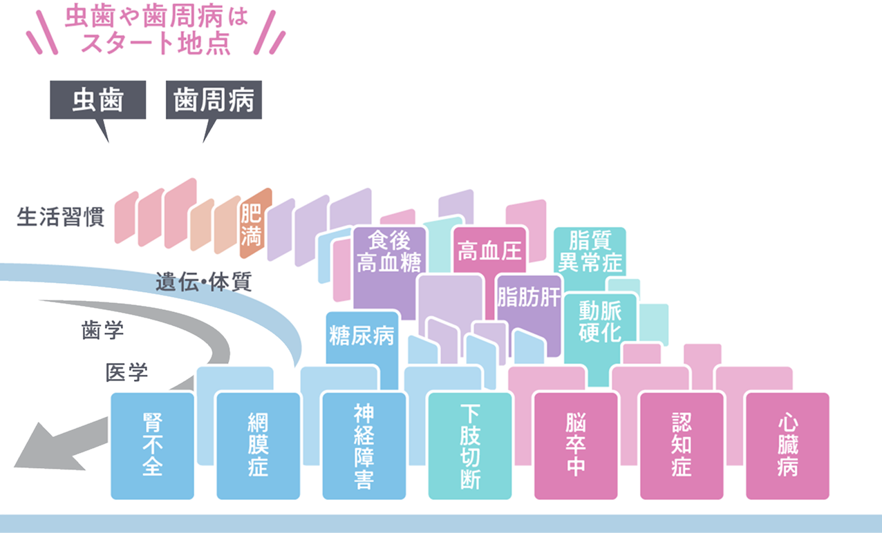 メタボリックドミノ図