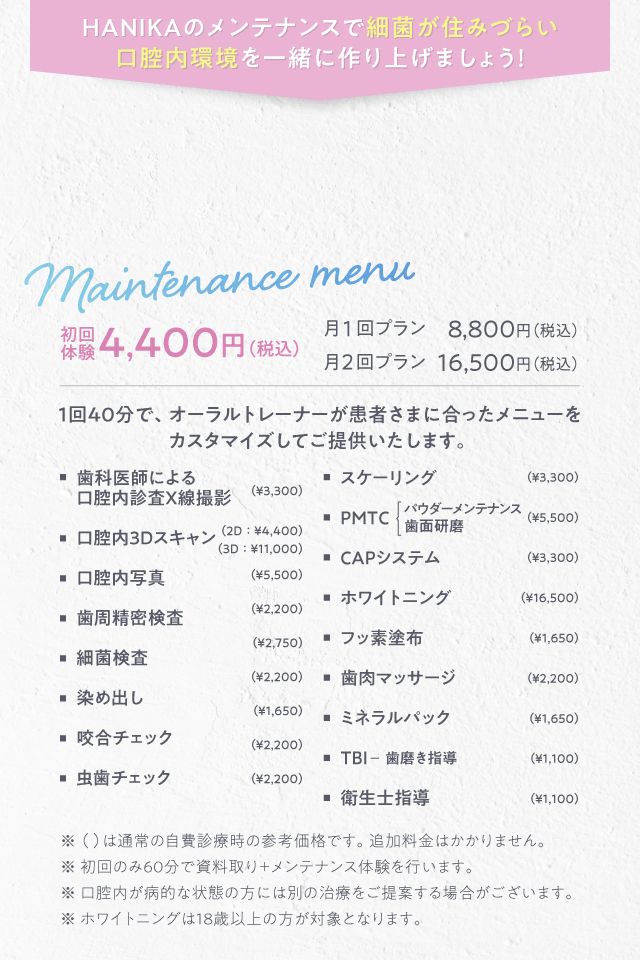 定額メンテナンスメニュー